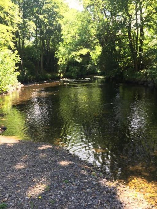 Stunning 3 Bed Riverside Cabin In Snowdonia Caeathro Dış mekan fotoğraf